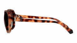 Polaroid PLD 4098/S 086 58/15 -Mode-Brillenwinkel original png 716736304014 00004