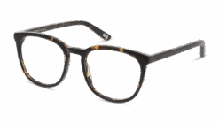DbyD DBOF0042 HH0054/19 -Mode-Brillenwinkel original png 8719154722264 angle 03 dbyd dbof0042 eyewear havana havana