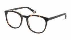 DbyD DBOF0042 HH00 50/18 -Mode-Brillenwinkel original png 8719154829338 angle 03 dbyd dbof0042 eyewear havana havana