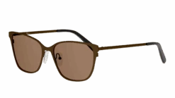 Seen SNSF0021 NNN055/17