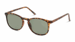 Seen SNSU0020 HHE054/19