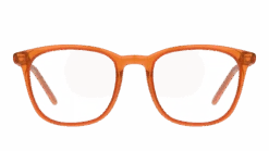 Seen SNOT0003 OO0048/19